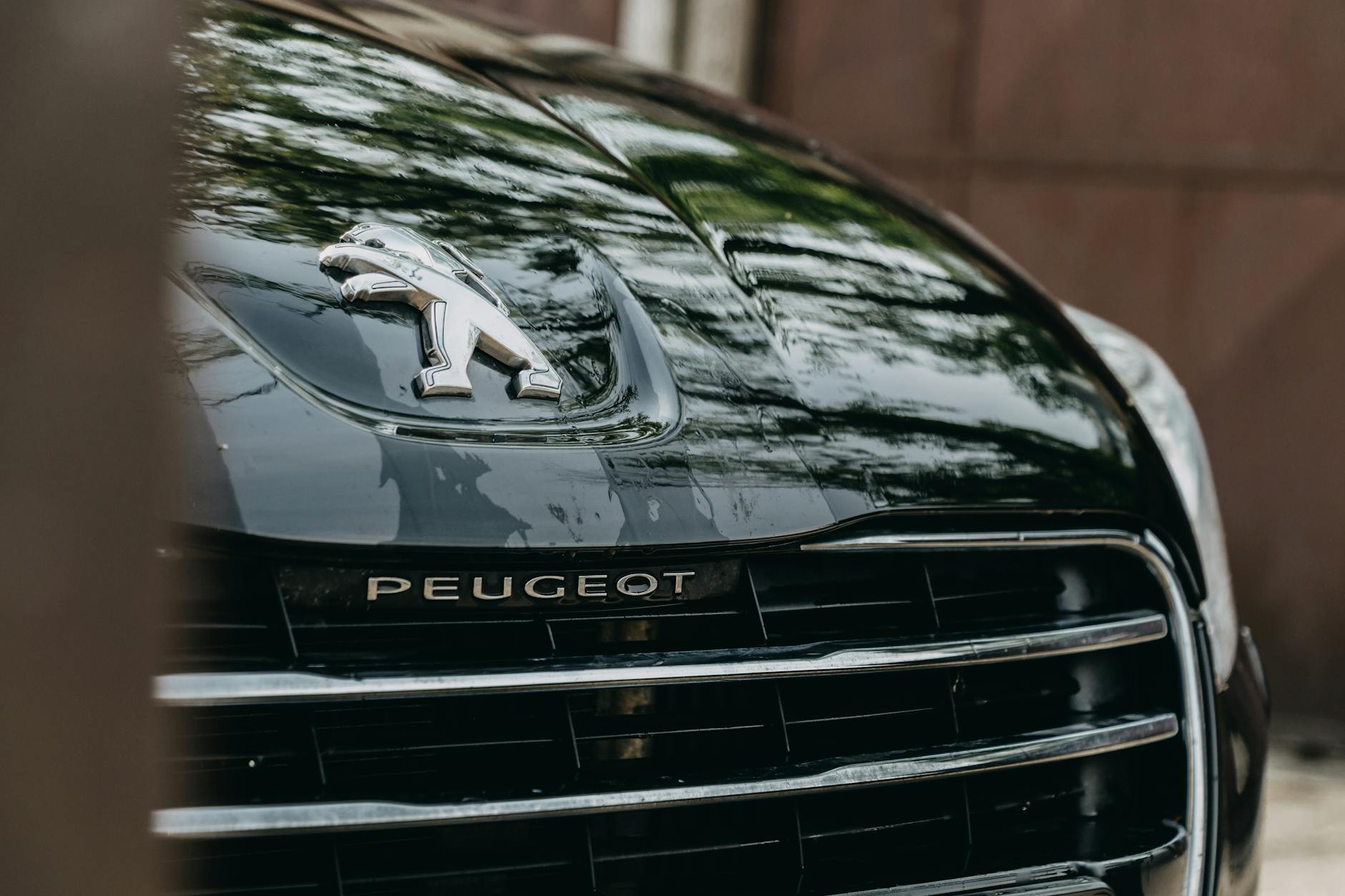 Naprawa alternatora Peugeot â€“ cennik 2026 - kosztserwisu.pl